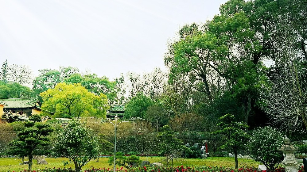 阿米巴經(jīng)營——支撐阿米巴經(jīng)營的經(jīng)營管理部門